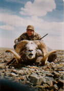 Mongolia-Sheep