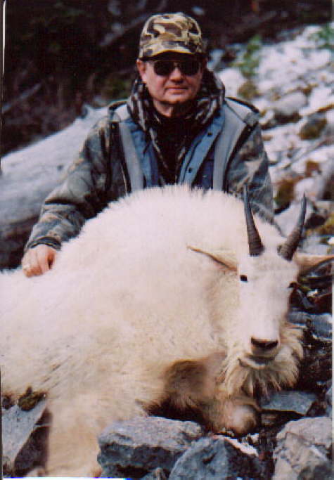 mountian-Goat